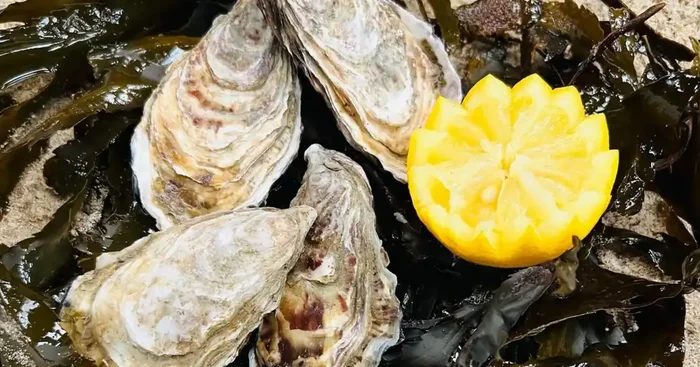 12 Huitres Creuses de Normandie N2