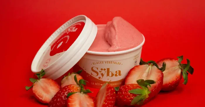 120ml – Sorbet à la Fraise