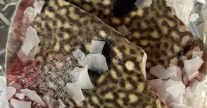 aile de raie non pelée lot de 2kg