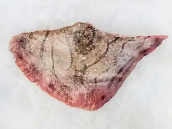 Aile De Raie – Pièce De 1,5 Kg (aile De Raie Non Pelée)