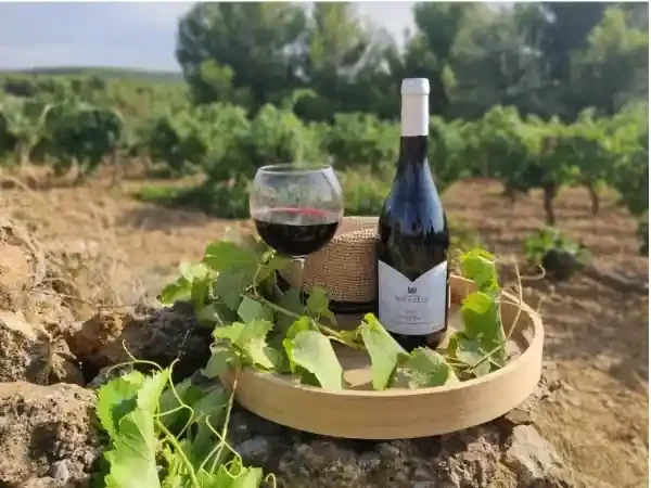 AOC Corbières – Tradition, Domaine Miradels 2017 – 6 bouteilles