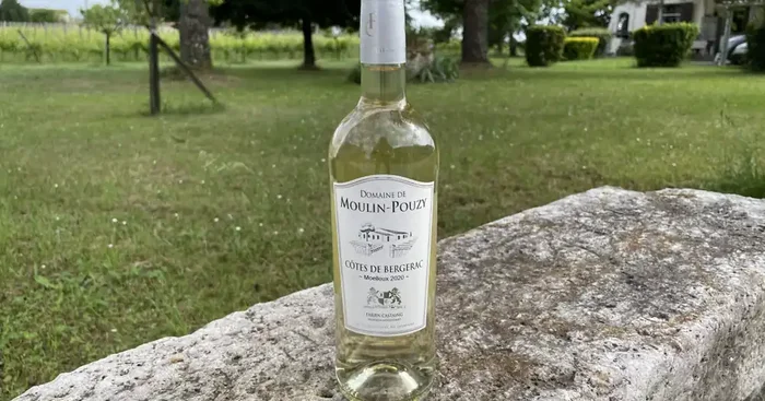 AOC Côtes de Bergerac Blanc Moelleux Domaine de Moulin-Pouzy Tradition – 75cl