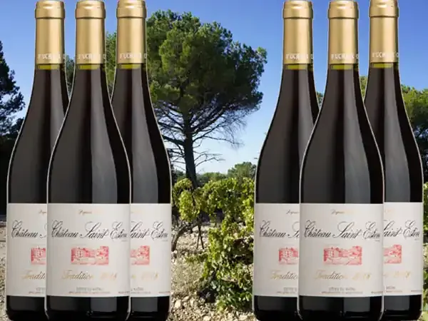 AOP Côtes du Rhône Rouge Tradition 2021 x6