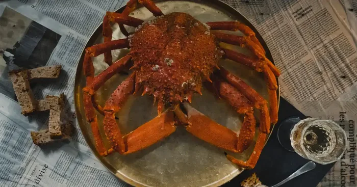 Araignée de Mer Cuite Normandie – Grosse