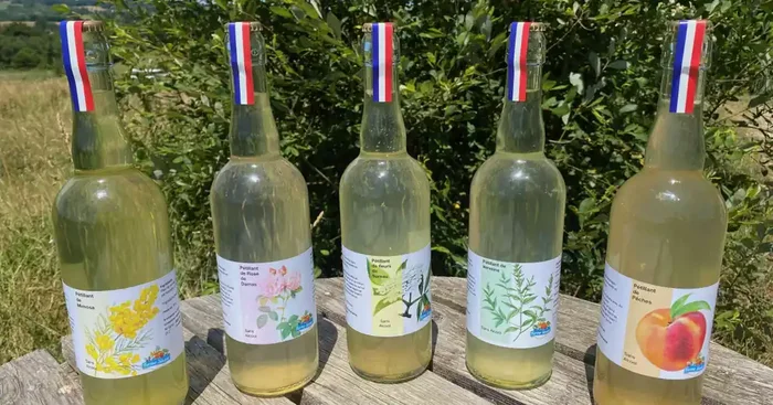 Assortiment de Pétillants (lot de 2 x 3 saveurs) sans alcool