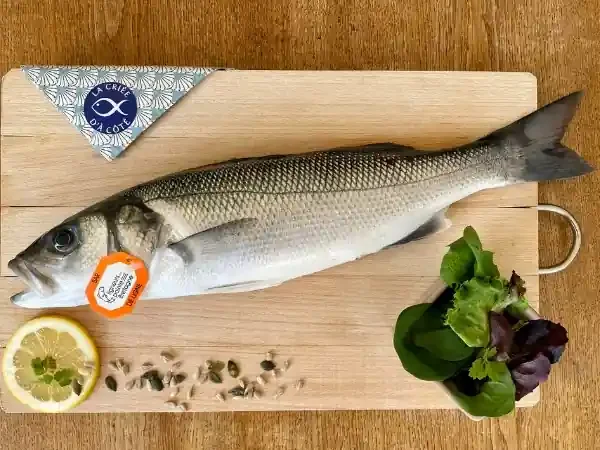 Bar de Ligne – 750g