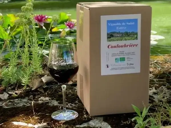 BIB x 5 L Côtes du Rhône Villages Rouge BIO