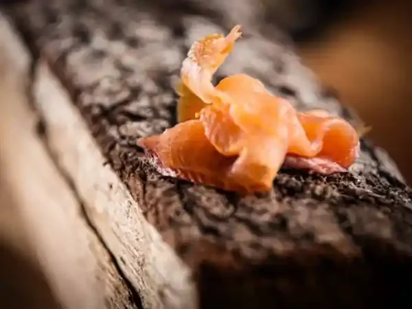 [BIO] Saumon Tranché (530 gr, mini 10 tranches)