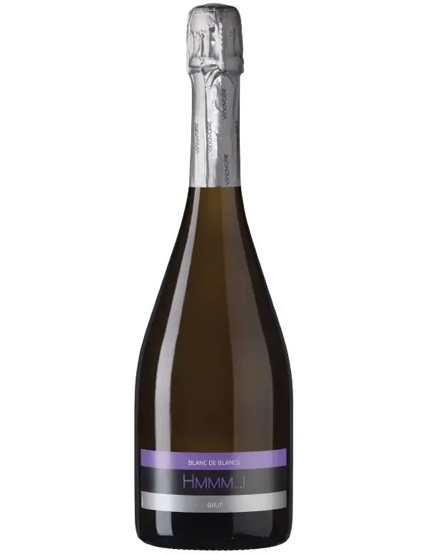 Blanc de Blancs Hmmm AOP Gaillac – Vinovalie