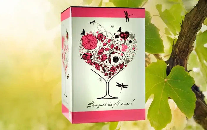 Bourgueil Rosé – BIB 5L