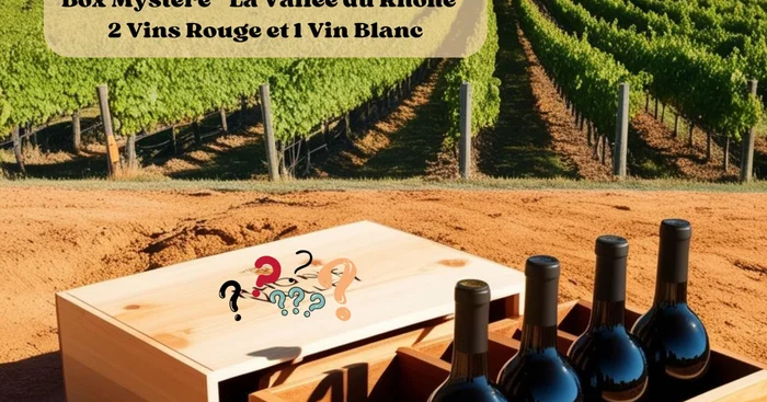 Box Mystère « La Vallée du Rhône » 2 bouteilles de vin rouge et 1 bouteille de vin blanc (-12,5%)