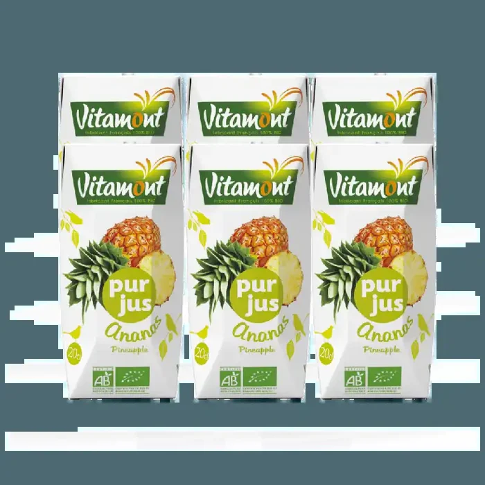 Briquettes Jus Ananas Bio