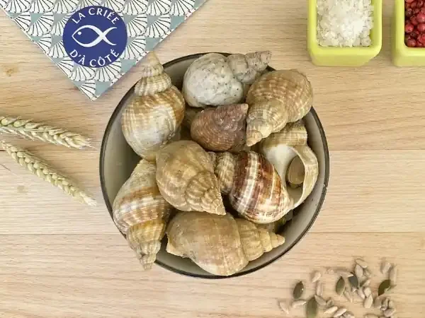 Bulots Vivants – 3 Kg