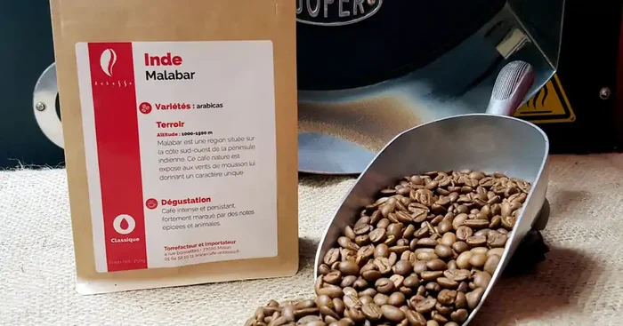 Café Malabar-inde-en Grains