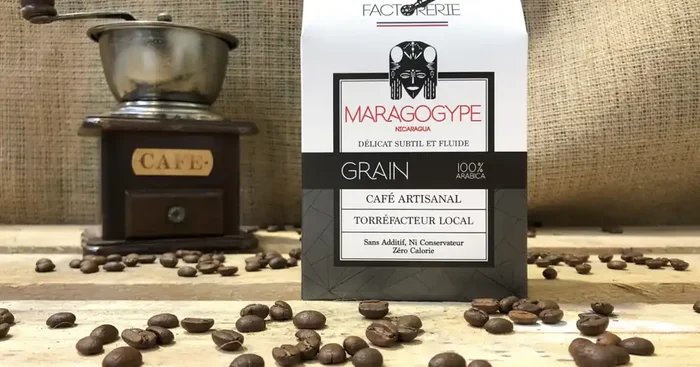 Café Nicaragua Maragogype GRAIN – 250g