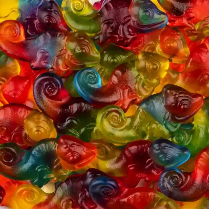 ? Caméléon – Haribo (100g)