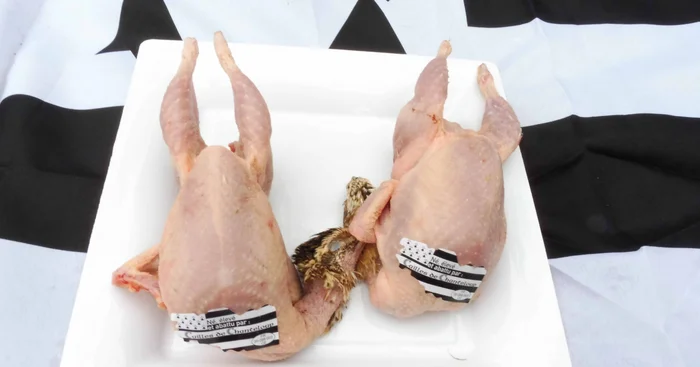 [Congelé] Lot de 4 cailles prêtes à cuire, sans tête, minimum 790 gr le lot