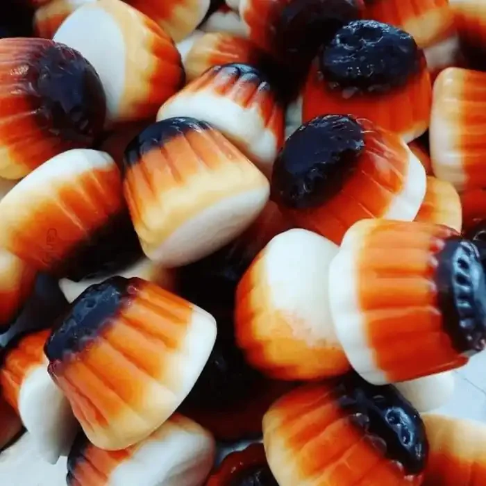 ? Crème caramel fourrées (100g) – Vidal