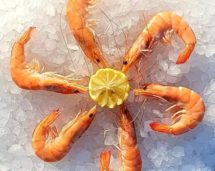 Crevettes Cuites au sel de Camargue