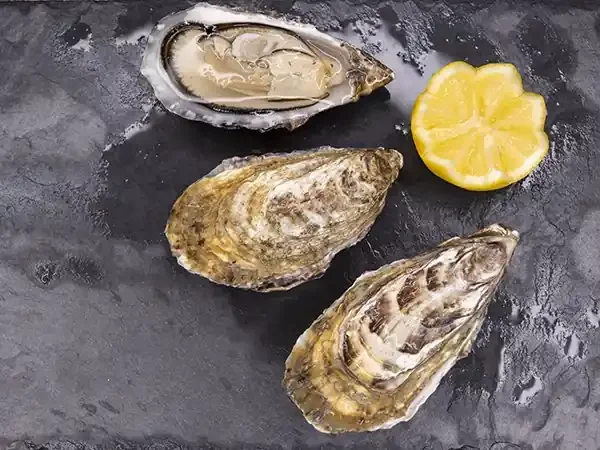 Huîtres de Cancale N°1 – 50 pièces