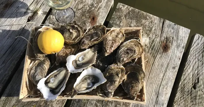 Huitres n°4 bourriche de 3 douzaines