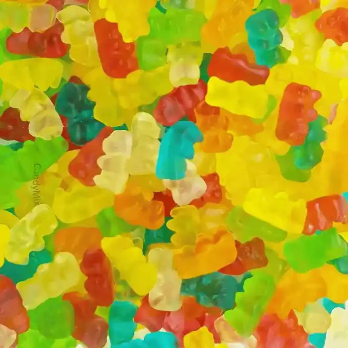 ? Oursons – Frisia (100g)