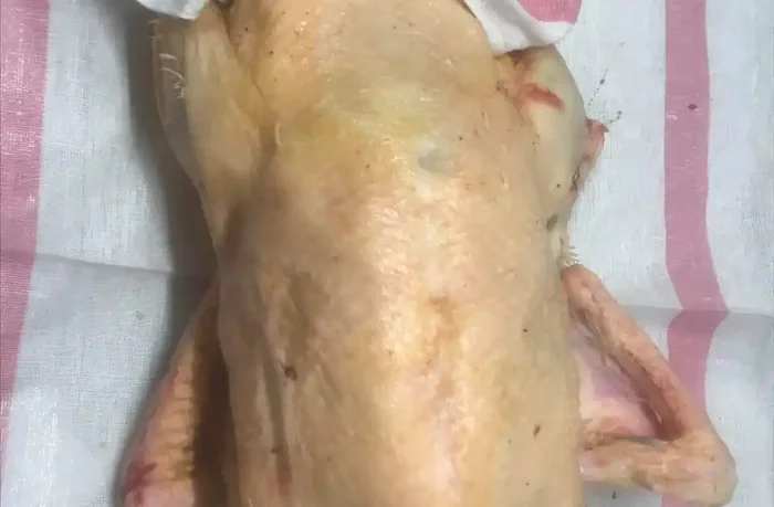 [Précommande] Canard gras non vidé , avec foie gras