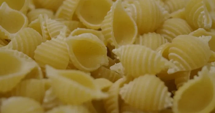 [Précommande] Pâtes Fraîches BIO – Conchiglie 3x250g