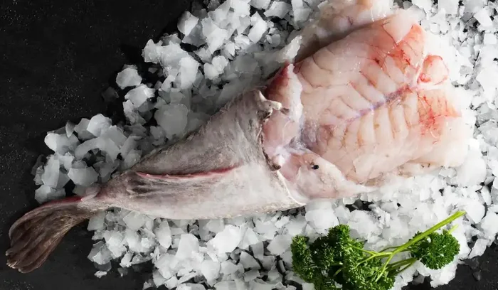 Queue De Lotte – Pièce De 1,5kg