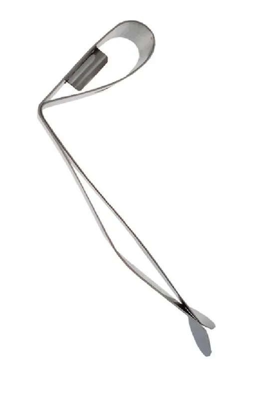 TAYLOR – CLIP POUR THERMOMETRE A LAIT