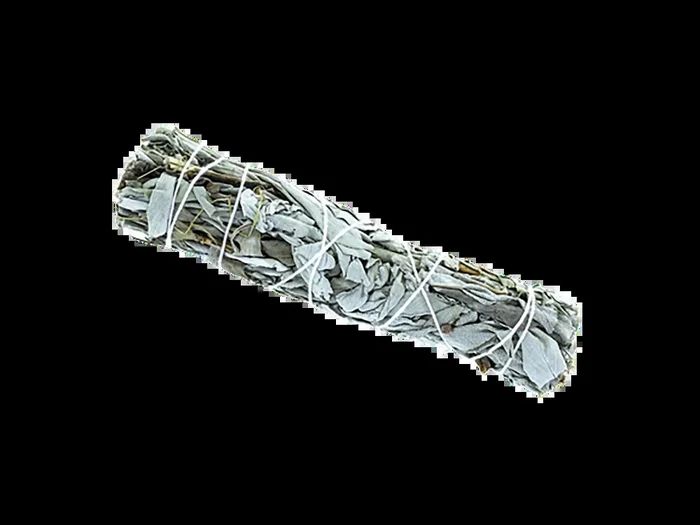 Tresse de Sauge Blanche